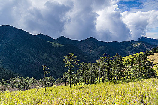 神农架神农顶景区初秋