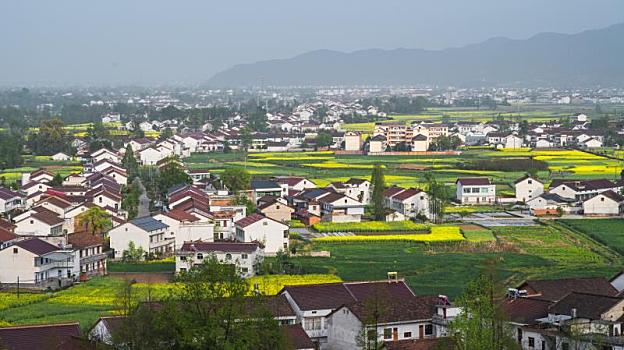 中国陕西汉中南郑岳岭村油菜花风光