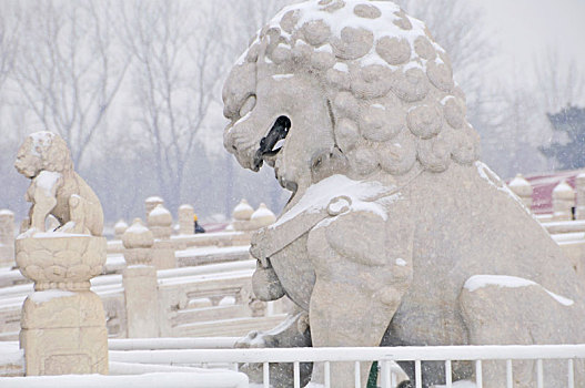 风雪中的石狮子