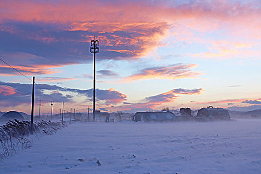 吹,雪,乳牛场,乡村