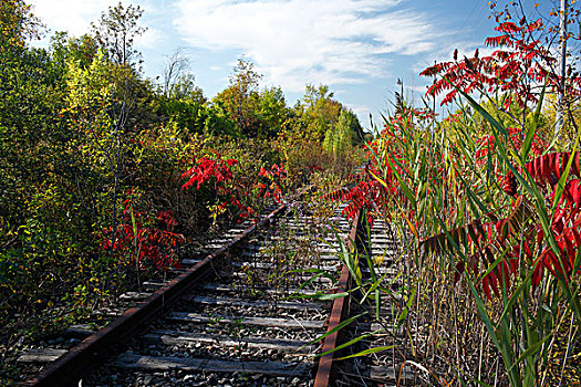 铁路线,魁北克省,加拿大,北美