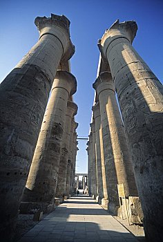 多柱厅,阿蒙神庙,路克索神庙,埃及