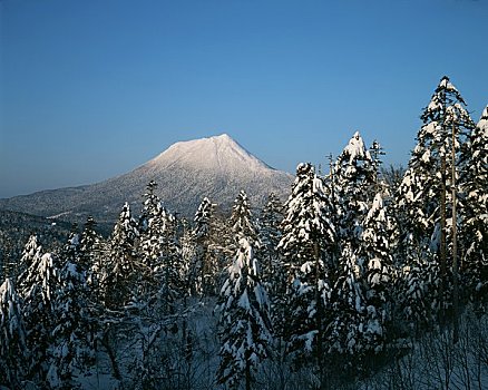 山