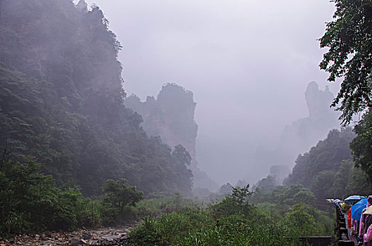 张家界十里画廊风光