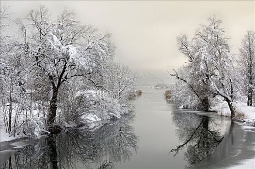 湾流,科赫尔湖,冬天,巴伐利亚,德国