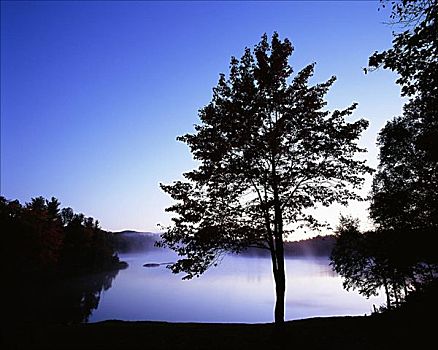 湖,基拉尼省立公园,安大略省,加拿大