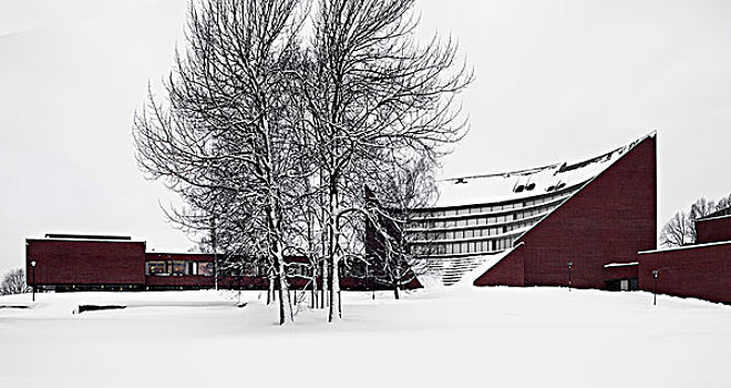 外景,赫尔辛基,大学,芬兰,降雪