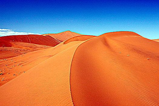 纳米比亚,纳米布沙漠,纳米比诺克陆夫国家公园,死亡谷,沙丘