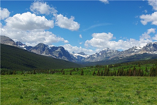 草地,树林,落基山脉,冰川国家公园,蒙大拿