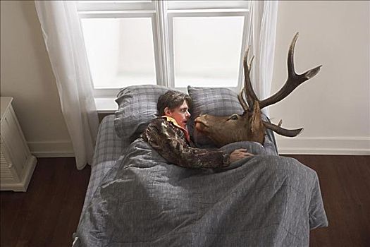 猎捕,睡觉,鹿头