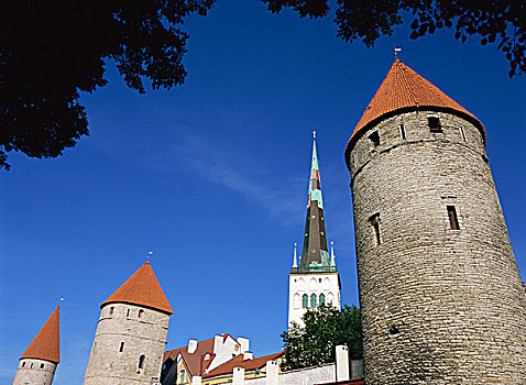 教堂,老城,墙壁,塔林,爱沙尼亚