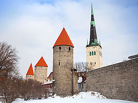 古老,石头,要塞,高,大教堂,老,塔林,风景,爱沙尼亚