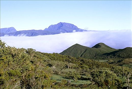 留尼汪岛,地区