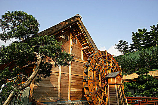 女修道院,中式花园,山,香港