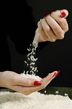 女人,筛滤,米饭,手指