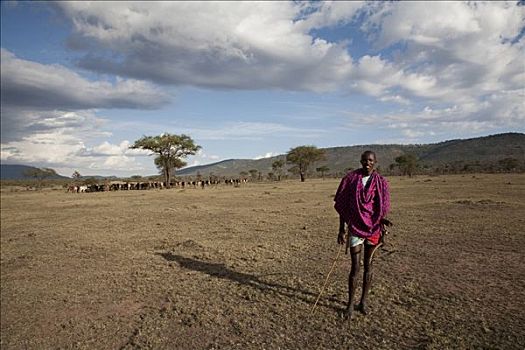 马萨伊,站立,男人,地点,马赛马拉国家保护区,肯尼亚