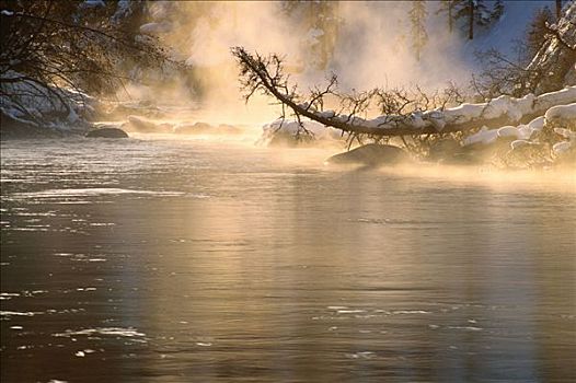 河,冬天,碧玉国家公园,艾伯塔省,加拿大