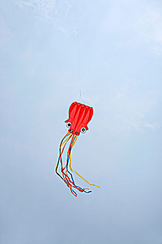 云南昆明世博会上空的风筝