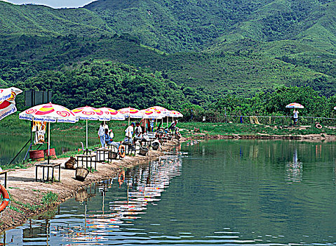 钓鱼,水塘,新界,香港