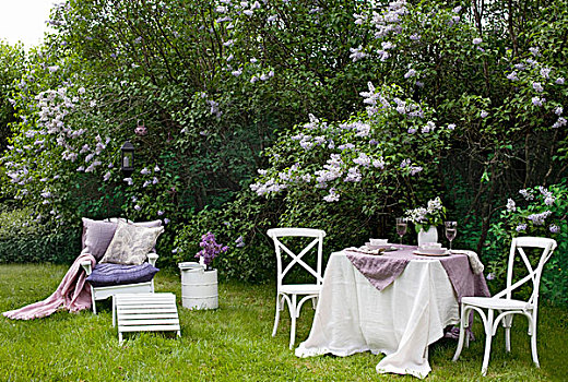 自然风光,花园,花,丁香,桌面布置,前景,花园椅,舒适,垫子
