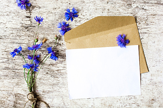 花束,蓝花,贺卡,矢车菊,信封,木质背景,留白
