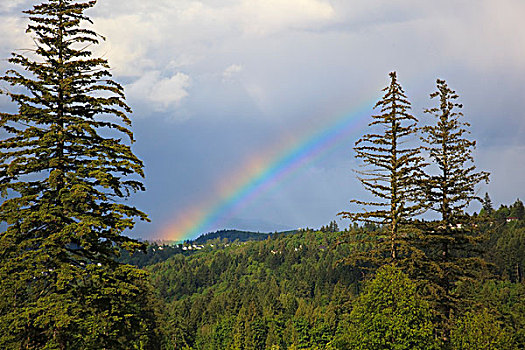 彩虹,上方,快乐谷,俄勒冈,美国