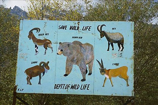 路标,防护,棕熊,野山羊,靠近,西北地区,印度
