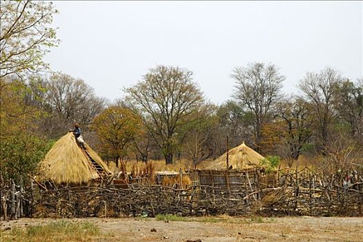 传统,乡村,小屋,博茨瓦纳