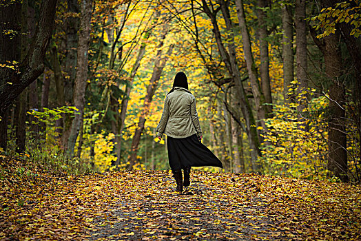女人,跑,秋日树林,后视图