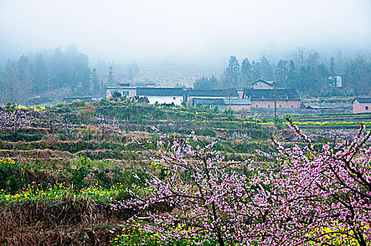 田园雾色