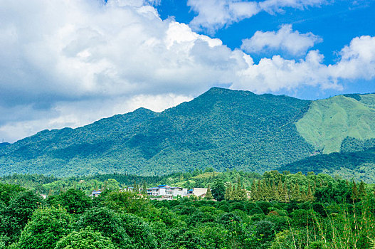 田野风光