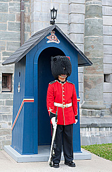 加拿大,魁北克省,魁北克,城镇,城堡,皇家,军团,只有,守卫,穿,熊皮帽