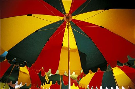 香港,格罗,计划,伞