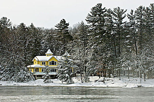 加拿大,安大略省,两个,家,冬天,风景,画廊