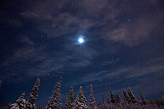 满月,星球,冬天,夜晚,上方,山坡,区域,高处,阿拉斯加
