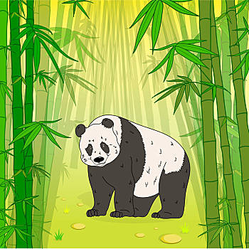竹林风光图片