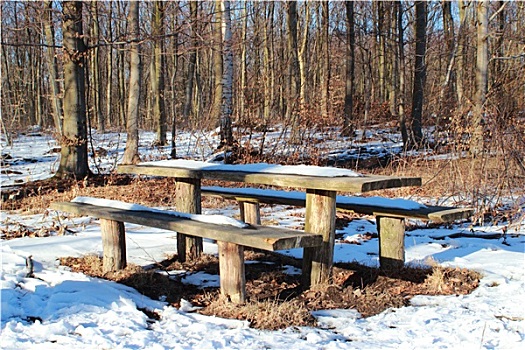 木质,树林,桌子,冬天,雪