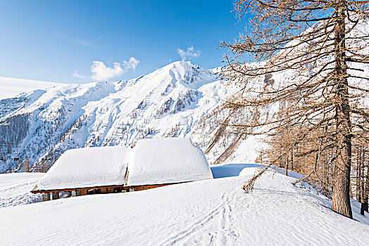 冬天,大帕拉迪索国家公园,省,都灵,意大利阿尔卑斯山,意大利