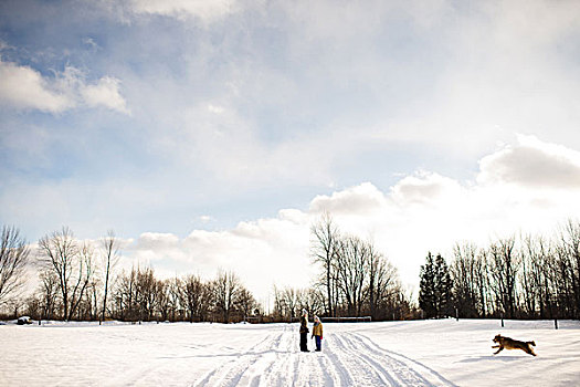 孩子,积雪,小路,金毛猎犬,安大略省,加拿大