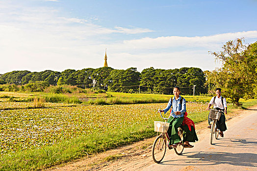 学童,自行车,佛塔,曼德勒,区域,缅甸