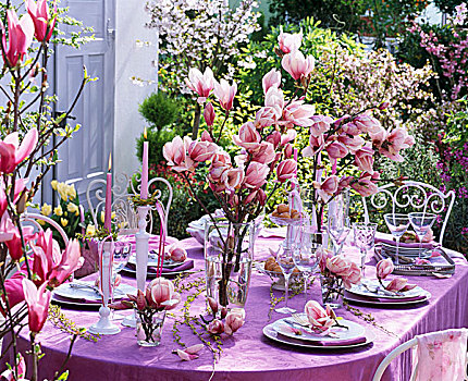 节日餐桌,粉色,玉兰,柳树,枝条