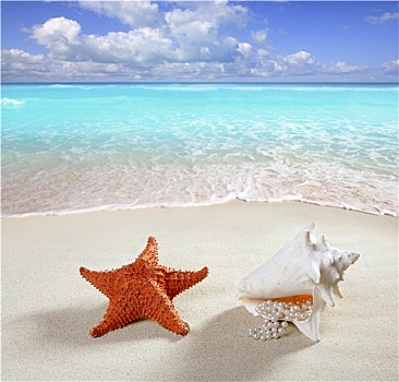 海滩,沙子,珍珠项链,壳,海星,夏天