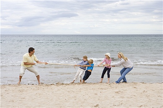年轻家庭,玩,拔河,海滩