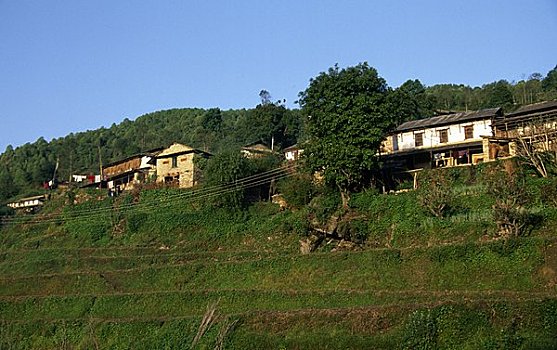 仰视,乡村,尼泊尔