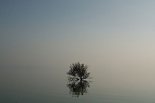 海景