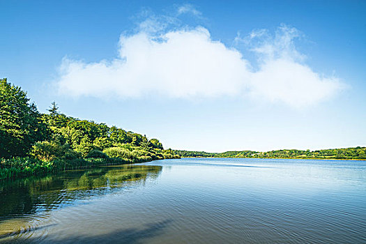 湖,风景,绿色,树,蓝天