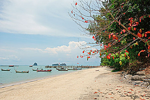 黑沙,海滩,兰卡威,群岛,马来西亚