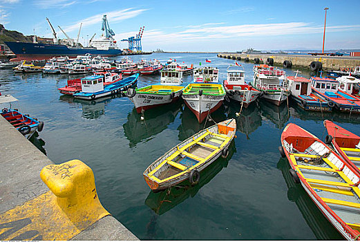 船,港口,瓦尔帕莱索,智利