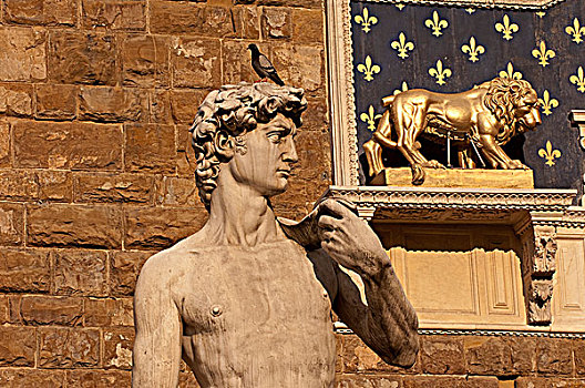 复制,大卫像,雕塑,韦奇奥宫,市政广场,佛罗伦萨,托斯卡纳,意大利