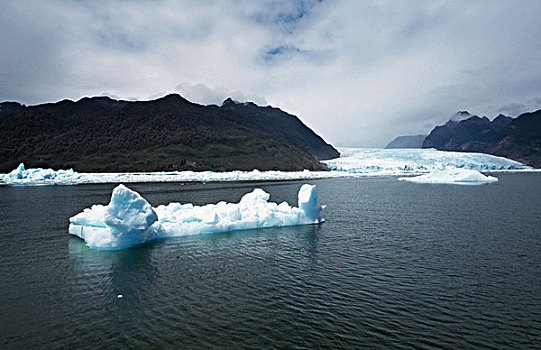 冰山,漂浮,冰河,智利